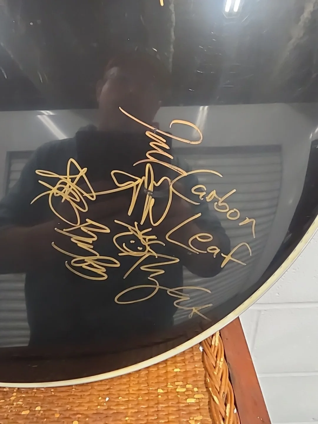 Scythian/Carbon Leaf/Gaelic Storm/Gothard Sisters Signed Evans Bass Drum Head, изображение 2
