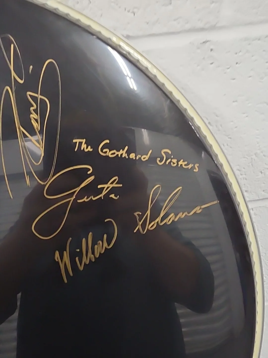Scythian/Carbon Leaf/Gaelic Storm/Gothard Sisters Signed Evans Bass Drum Head, изображение 3