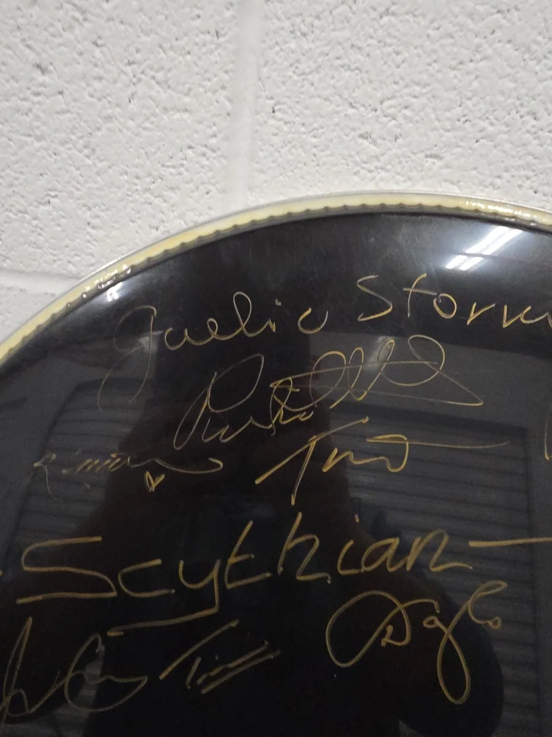 Scythian/Carbon Leaf/Gaelic Storm/Gothard Sisters Signed Evans Bass Drum Head, изображение 4
