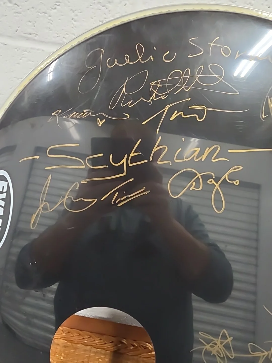 Scythian/Carbon Leaf/Gaelic Storm/Gothard Sisters Signed Evans Bass Drum Head, изображение 5