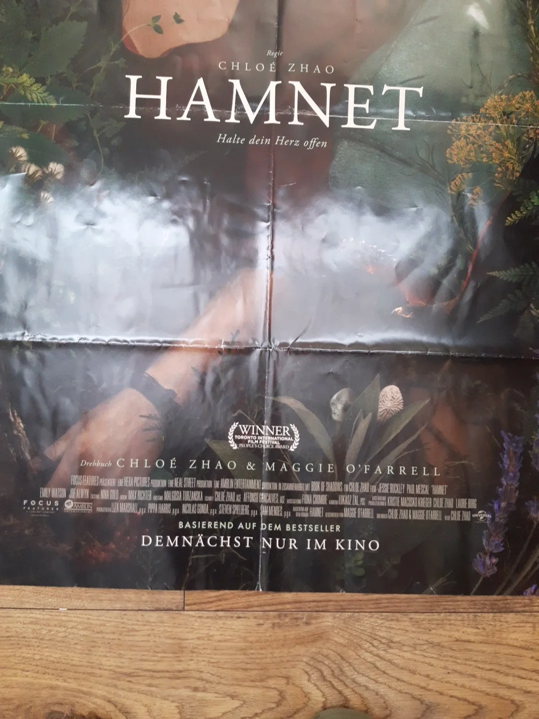 Hamnet Cinema Poster from Germany, image 2