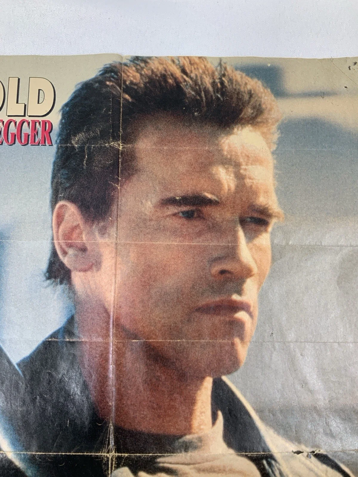 Arnold Schwartzenegger — Arnold Schwartzenegger Signed Autographed Early 1990's Poster Bravo Magazine, изображение 5