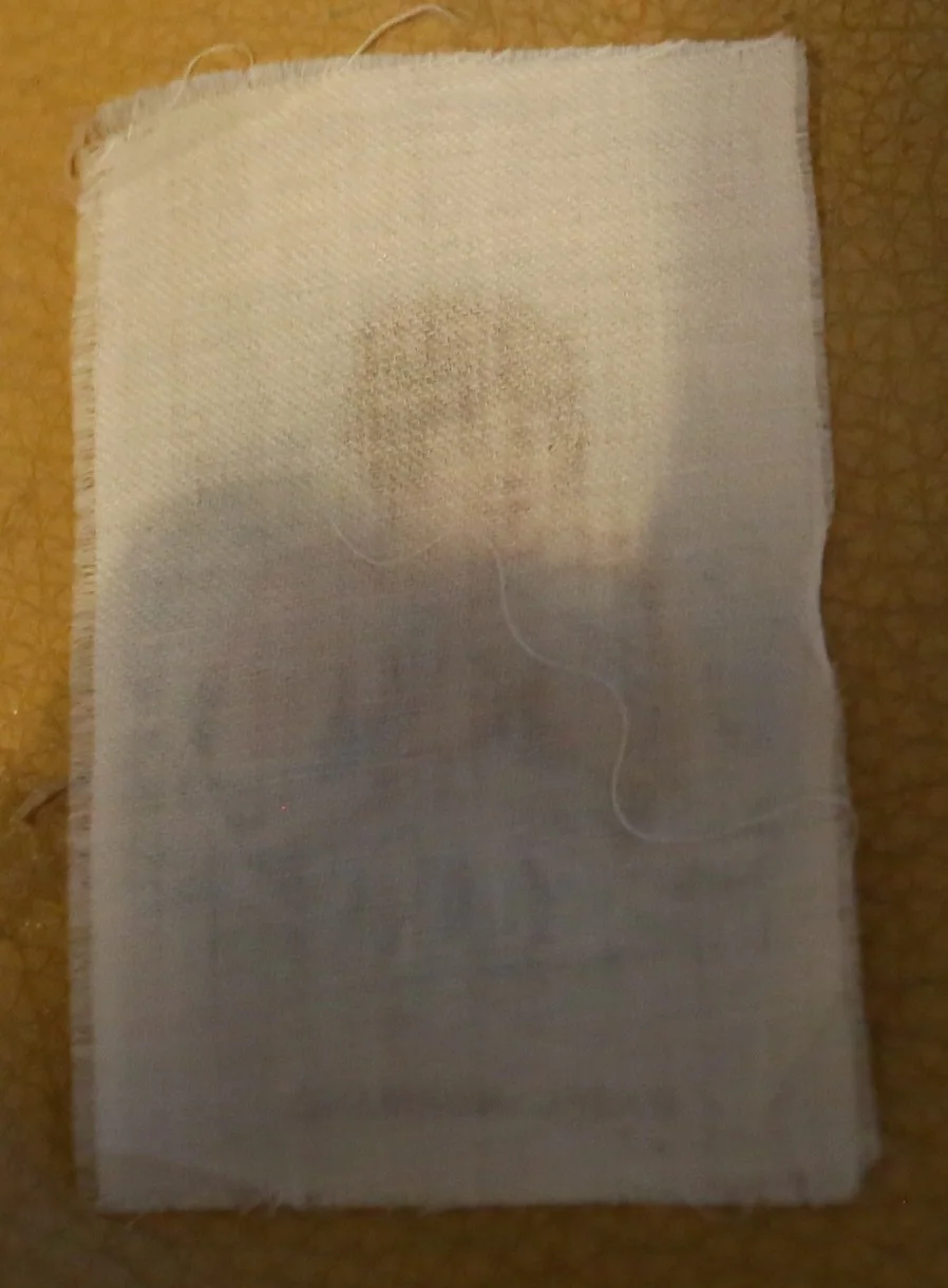 SILK 1913 MABEL NORMAND ACTRESS GIRLS FRIEND ORIGINAL, изображение 2