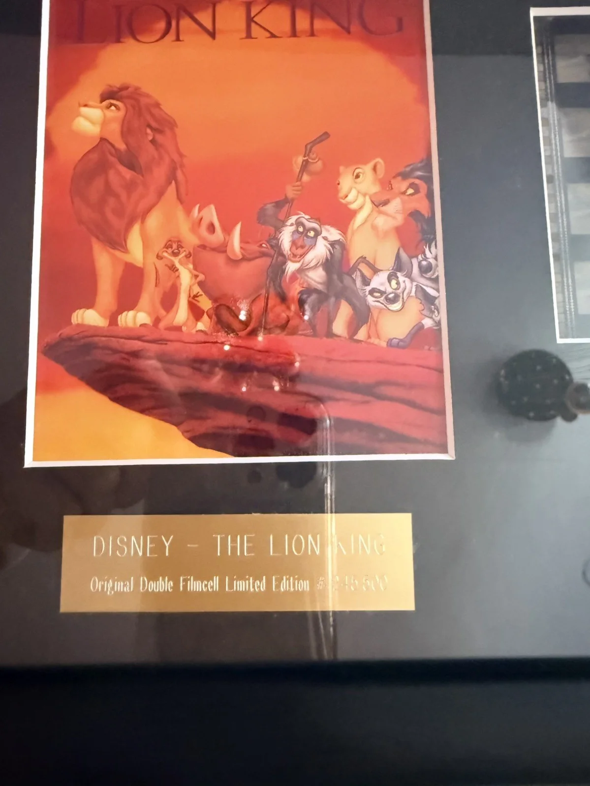 Lion King Double Film Cell mounted 29cm by 24cm, image 4