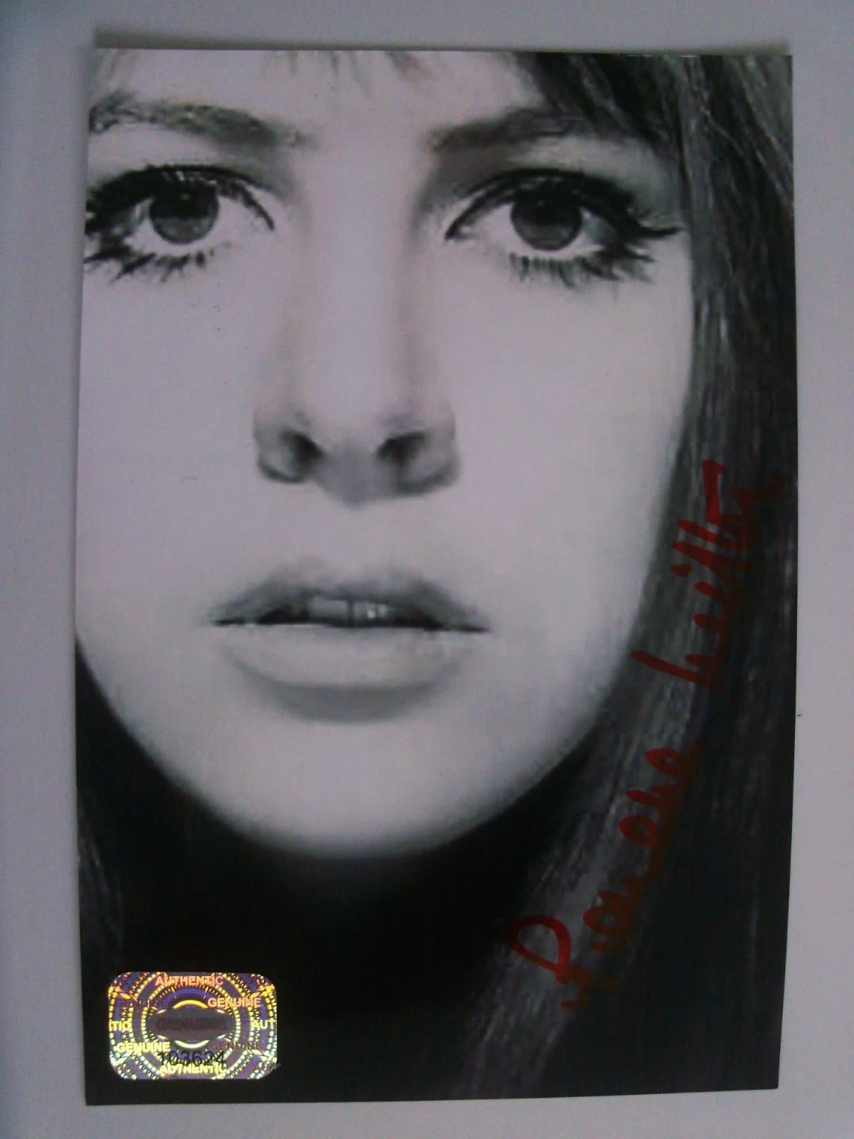 PENELOPE WILTON — PENELOPE WILTON Doctor Who Signed Autographed Photo 4X6 W/ Hologram/Serial #