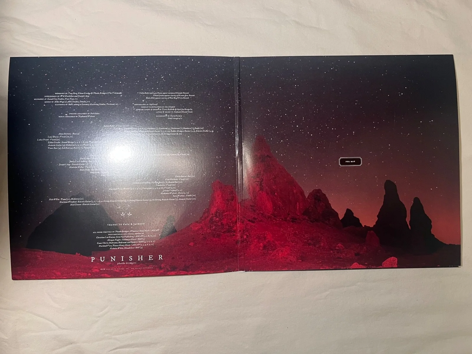 Phoebe Bridgers Punisher Signed Record Album Autographed Vinyl Music Collectible, изображение 3