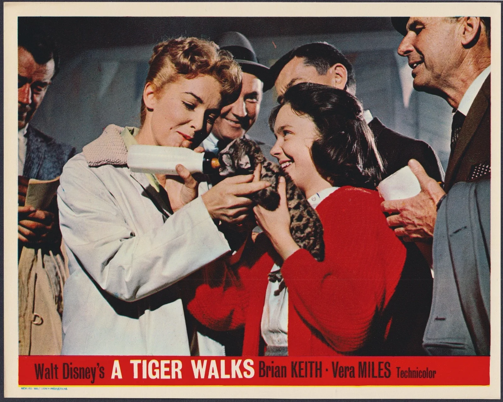 A Tiger Walks 8x ORIGINAL UK FOH Lobby Cards DISNEY Vera Miles 1964, изображение 4