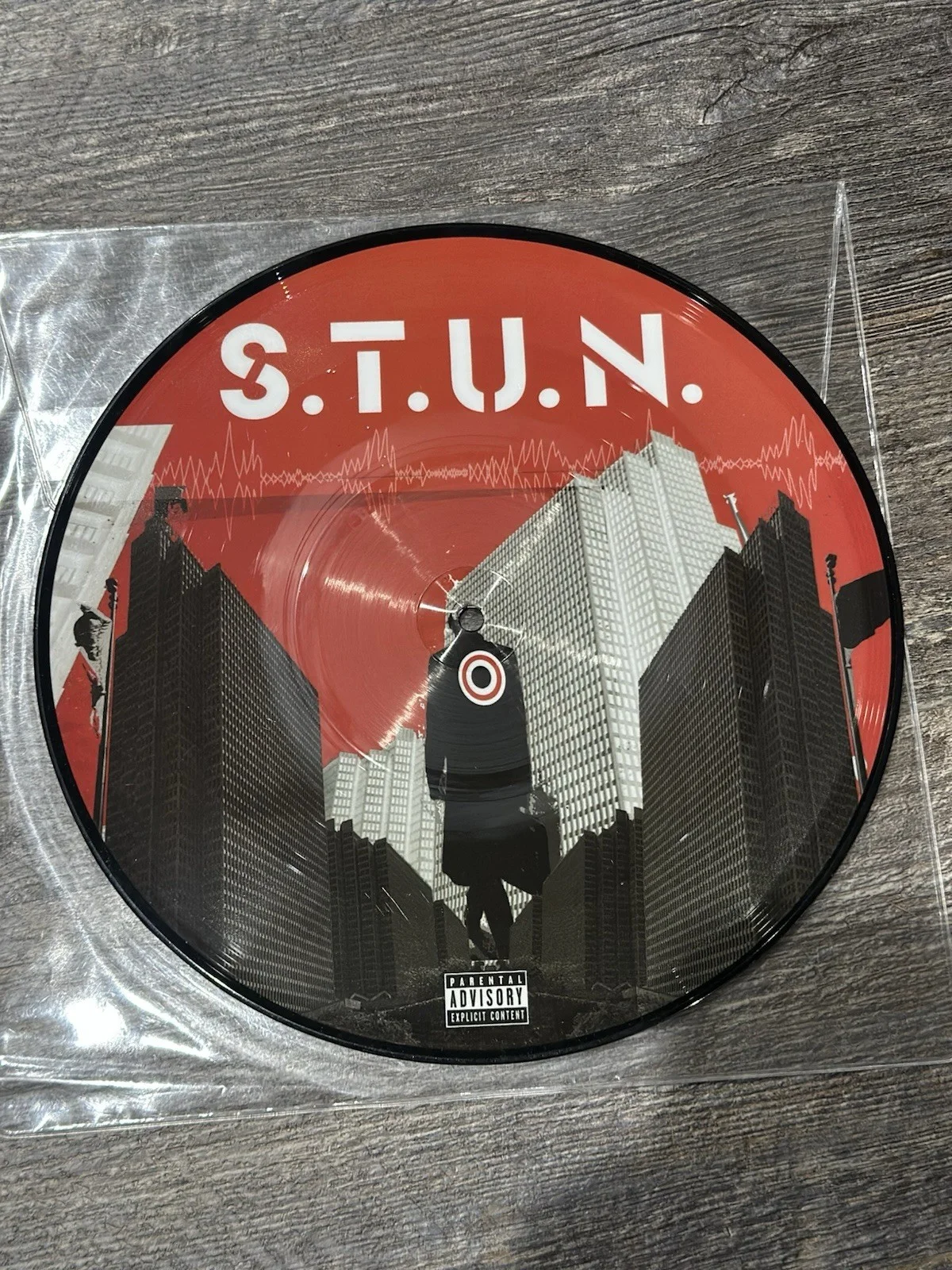 S.T.U.N. - SIGNED 10" Vinyl Picture Disc Promo Single Autographed Warped Tour, image 2