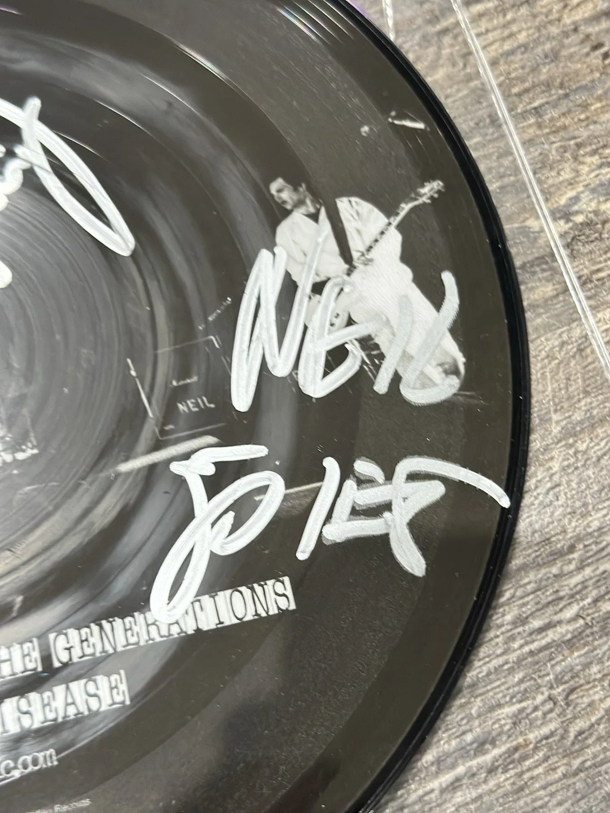 S.T.U.N. - SIGNED 10" Vinyl Picture Disc Promo Single Autographed Warped Tour, image 3
