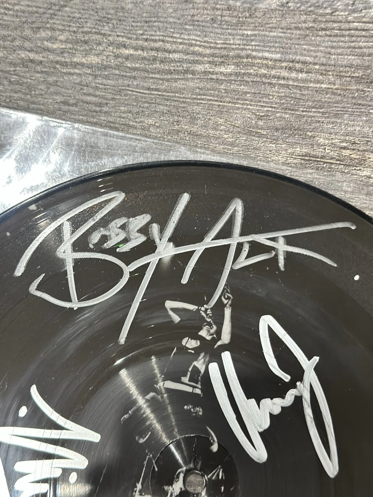 S.T.U.N. - SIGNED 10" Vinyl Picture Disc Promo Single Autographed Warped Tour, image 4