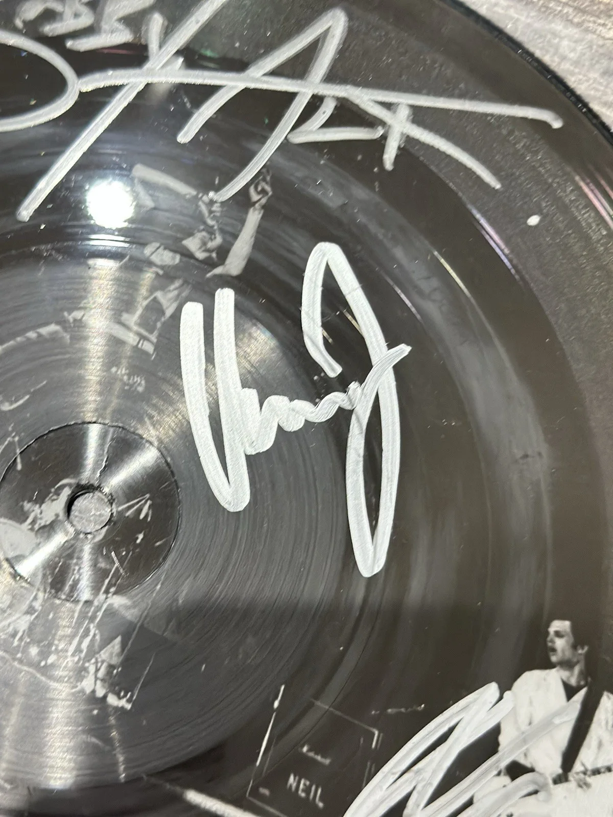 S.T.U.N. - SIGNED 10" Vinyl Picture Disc Promo Single Autographed Warped Tour, image 5
