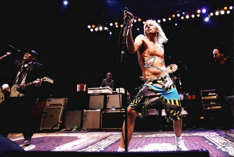 Taylor Hawkins — Taylor Hawkins authentic signed rock 10X15 photo W/Cert Autographed A0002