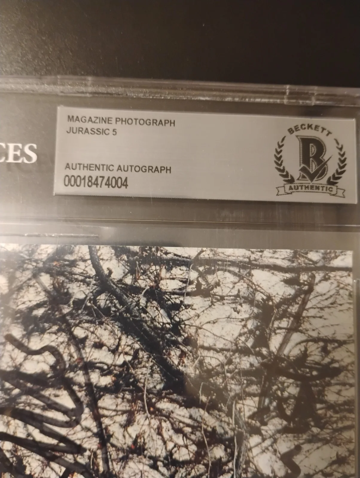 Jurassic 5 Beckett Slabbed Authentic Autograph Page Rare 8x10" Auto Signed Rap, image 3