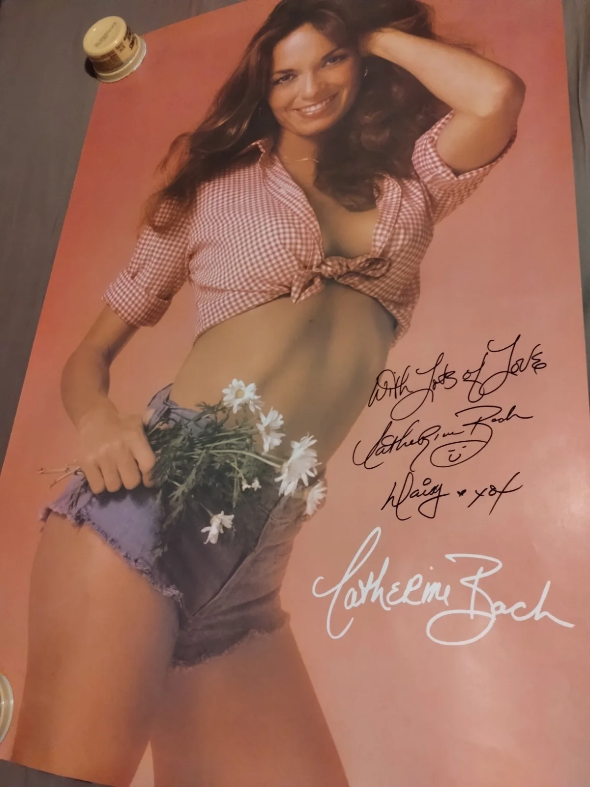 Catherine Bach AKA Daisy Duke — Signed 1979 Catherine Bach Daisy Dukes of Hazzard 21x36 Western Graphics Poster, изображение 4