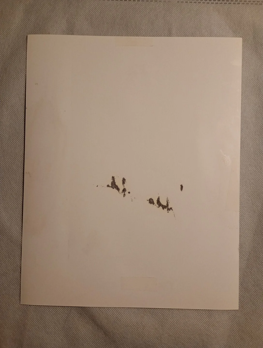 Adam Arkin — Adam Arkin - Autographed B&W 8x10 with COA, image 3