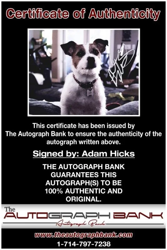 Adam Hicks — Adam Hicks authentic signed celebrity 8x10 photo W/Cert Autographed D13, image 2