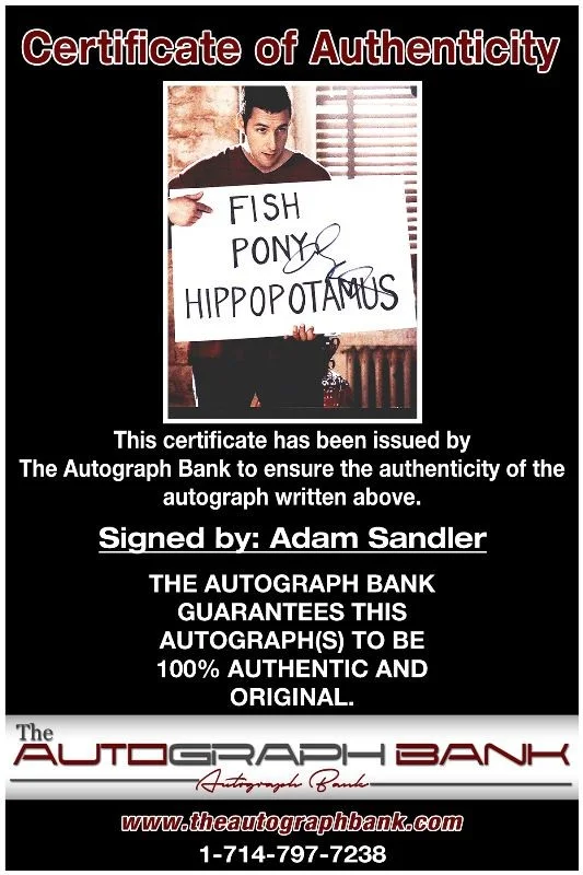 Adam Sandler — Adam Sandler authentic signed celebrity 8x10 photo W/Cert Autographed 51816b, image 2