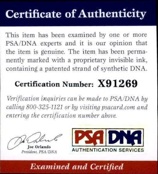 Amy Adams — Amy Adams PSA/DNA authentic signed celebrity 10x15 photo W/Cert Autographed A5, image 2
