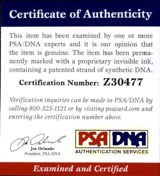 Amy Adams — Amy Adams PSA/DNA authentic signed celebrity 10x15 photo W/Cert Autographed A9, изображение 2