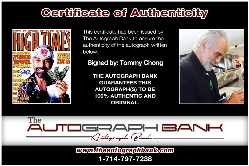 Tommy Chong — Tommy Chong authentic signed celebrity 10x15 photo W/Cert Autographed 2616c, изображение 2