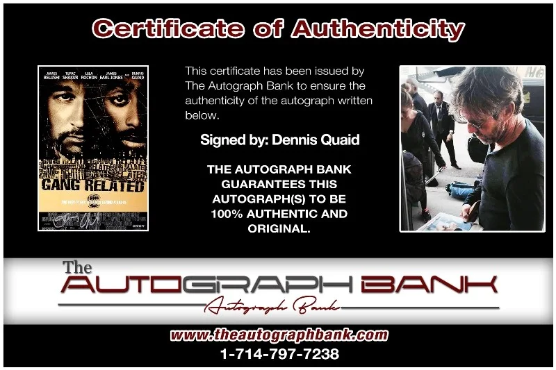 Dennis Quaid — Dennis Quaid authentic signed celebrity 10x15 photo W/Cert Autographed 2616d, изображение 2