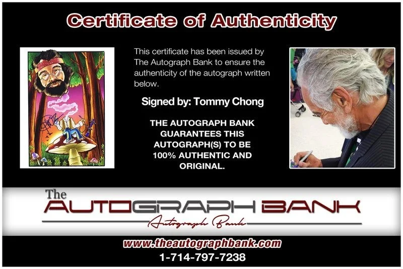 Tommy Chong — Tommy Chong authentic signed celebrity 8x10 photo W/Cert Autographed D43, изображение 2