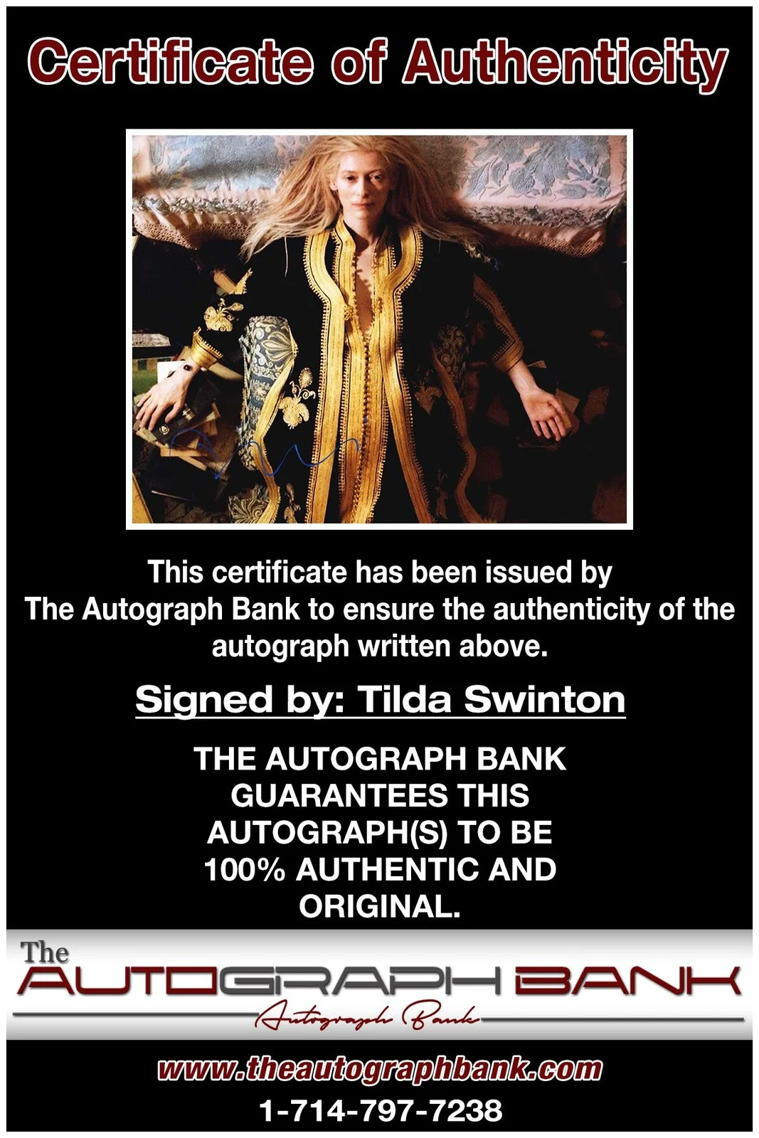 Tilda Swinton — Tilda Swinton authentic signed celebrity 8x10 photo W/Cert Autographed A9, image 2