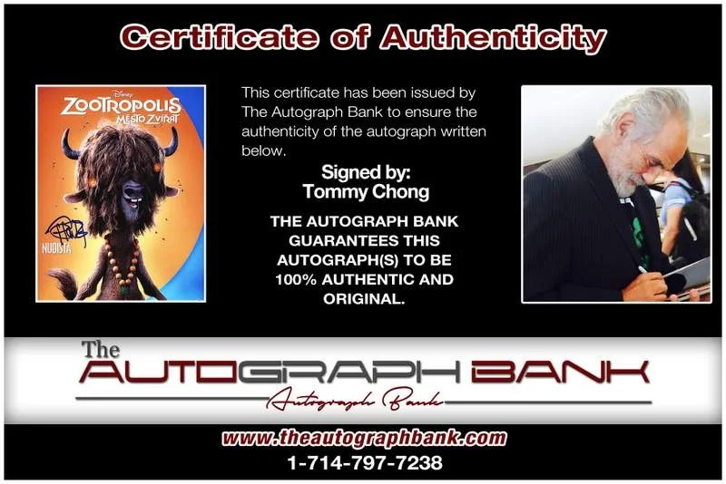 Tommy Chong — Tommy Chong authentic signed celebrity 8x10 photo W/Cert Autographed B0020, изображение 2