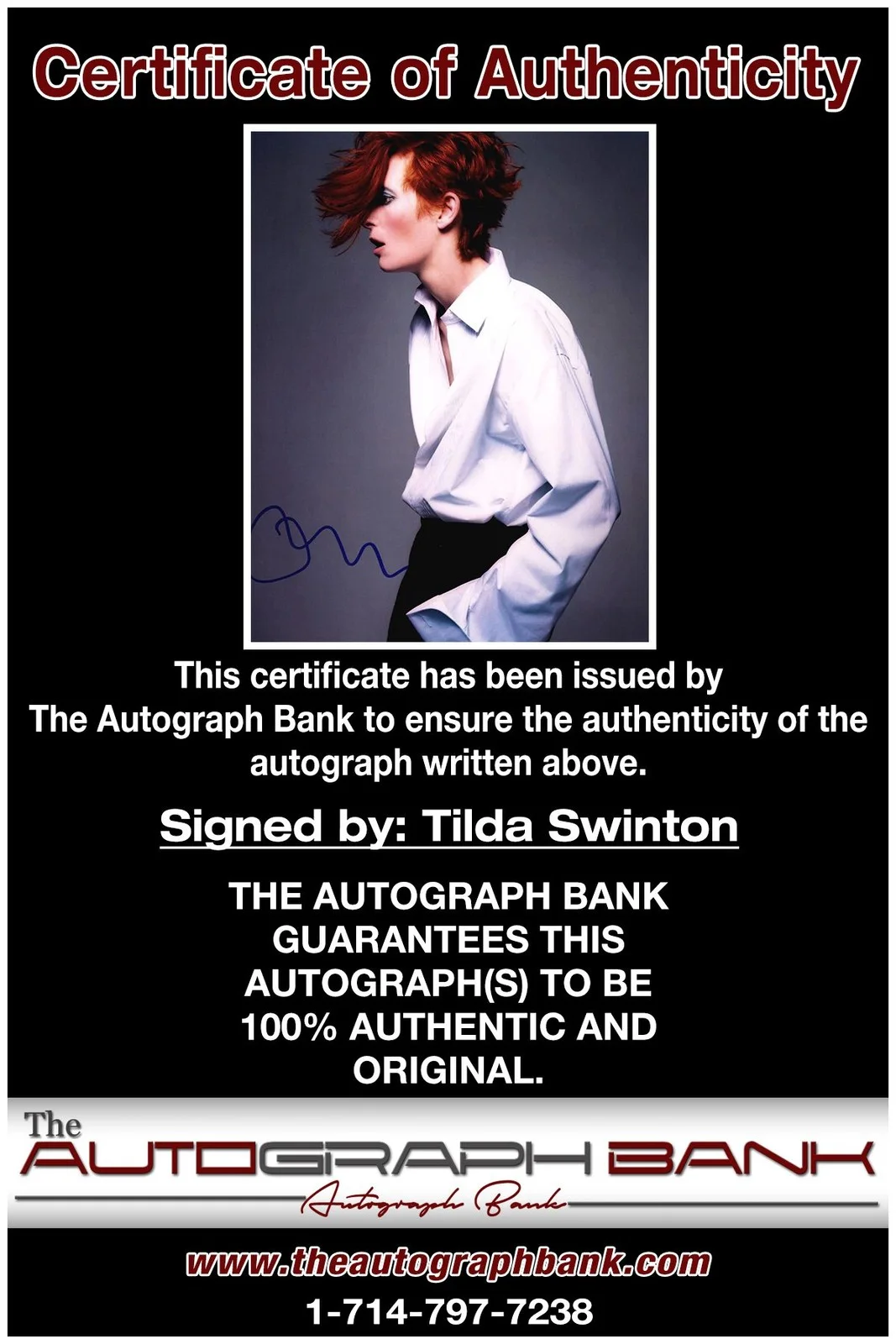 Tilda Swinton — Tilda Swinton authentic signed celebrity 8x10 photo W/Cert Autographed A6, изображение 2