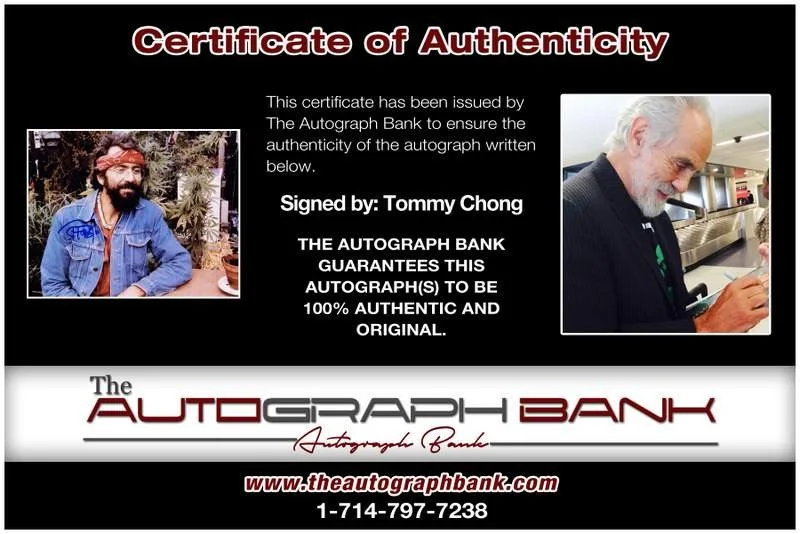 Tommy Chong — Tommy Chong authentic signed celebrity 8x10 photo W/Cert Autographed B0025, изображение 2