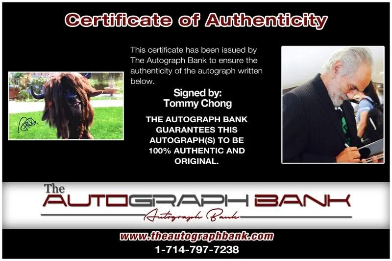 Tommy Chong — Tommy Chong authentic signed celebrity 8x10 photo W/Cert Autographed B0016, изображение 2
