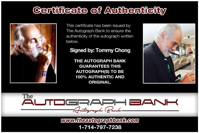 Tommy Chong — Tommy Chong authentic signed celebrity 8x10 photo W/Cert Autographed 2616e, изображение 2