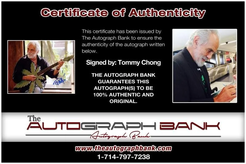Tommy Chong — Tommy Chong authentic signed celebrity 8x10 photo W/Cert Autographed B0109, изображение 2