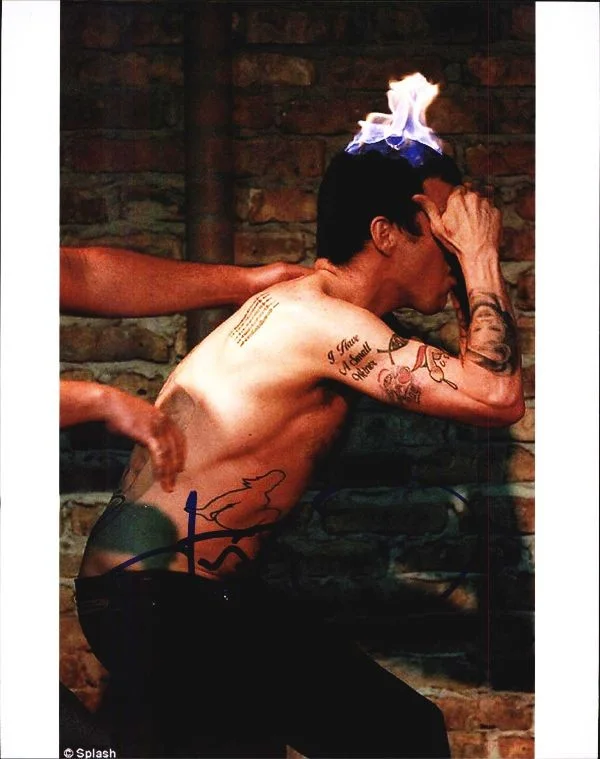 Steve O — Steve O authentic signed celebrity 8x10 photo W/Cert Autographed 51816j1