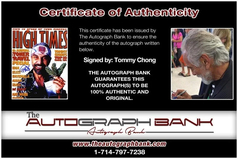 Tommy Chong — Tommy Chong authentic signed celebrity 8x10 photo W/Cert Autographed D20, изображение 2