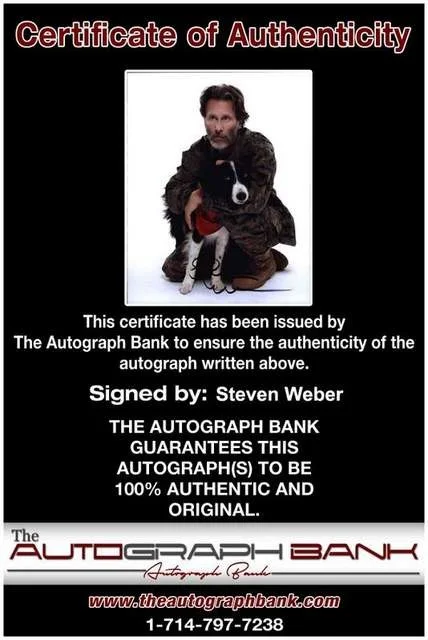 Steven Weber — Steven Weber authentic signed celebrity 8x10 photo W/Cert Autographed (B0717), image 2