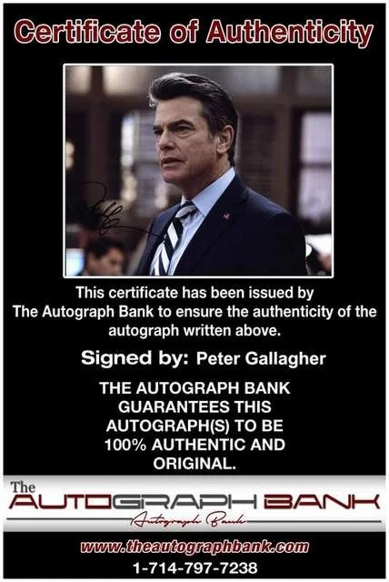 Peter Gallagher — Peter Gallagher authentic signed celebrity 8x10 photo W/Cert Autographed (B0559), image 2