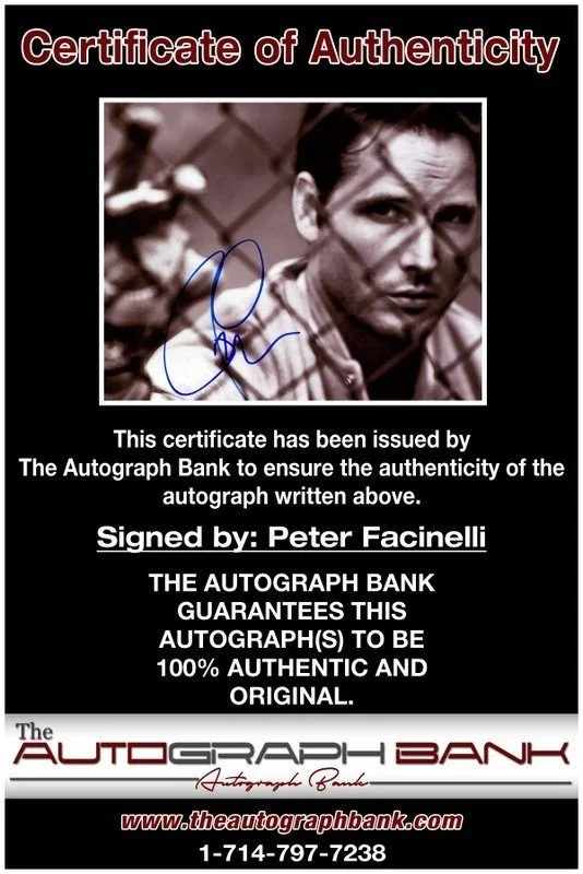 Peter Facinelli — Peter Facinelli authentic signed celebrity 8x10 photo W/Cert Autographed C6, image 2