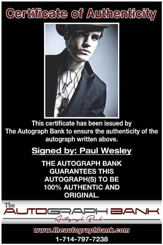 Paul Wesley — Paul Wesley authentic signed celebrity 8x10 photo W/Cert Autographed 40216d1, изображение 2