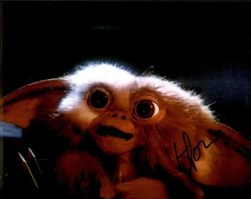 Howie Mandel — Howie Mandel authentic signed celebrity 8x10 photo W/Cert Autographed C6