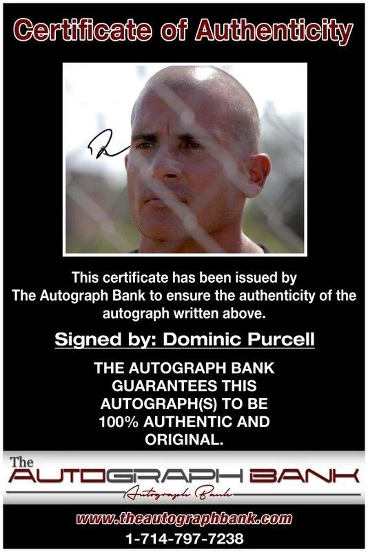 Dominic Purcell — Dominic Purcell authentic signed celebrity 8x10 photo W/Cert Autographed C5, изображение 2