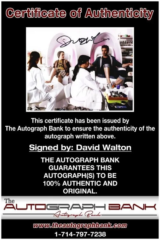 David Walton — David Walton authentic signed celebrity 8x10 photo W/Cert Autographed D6, image 2