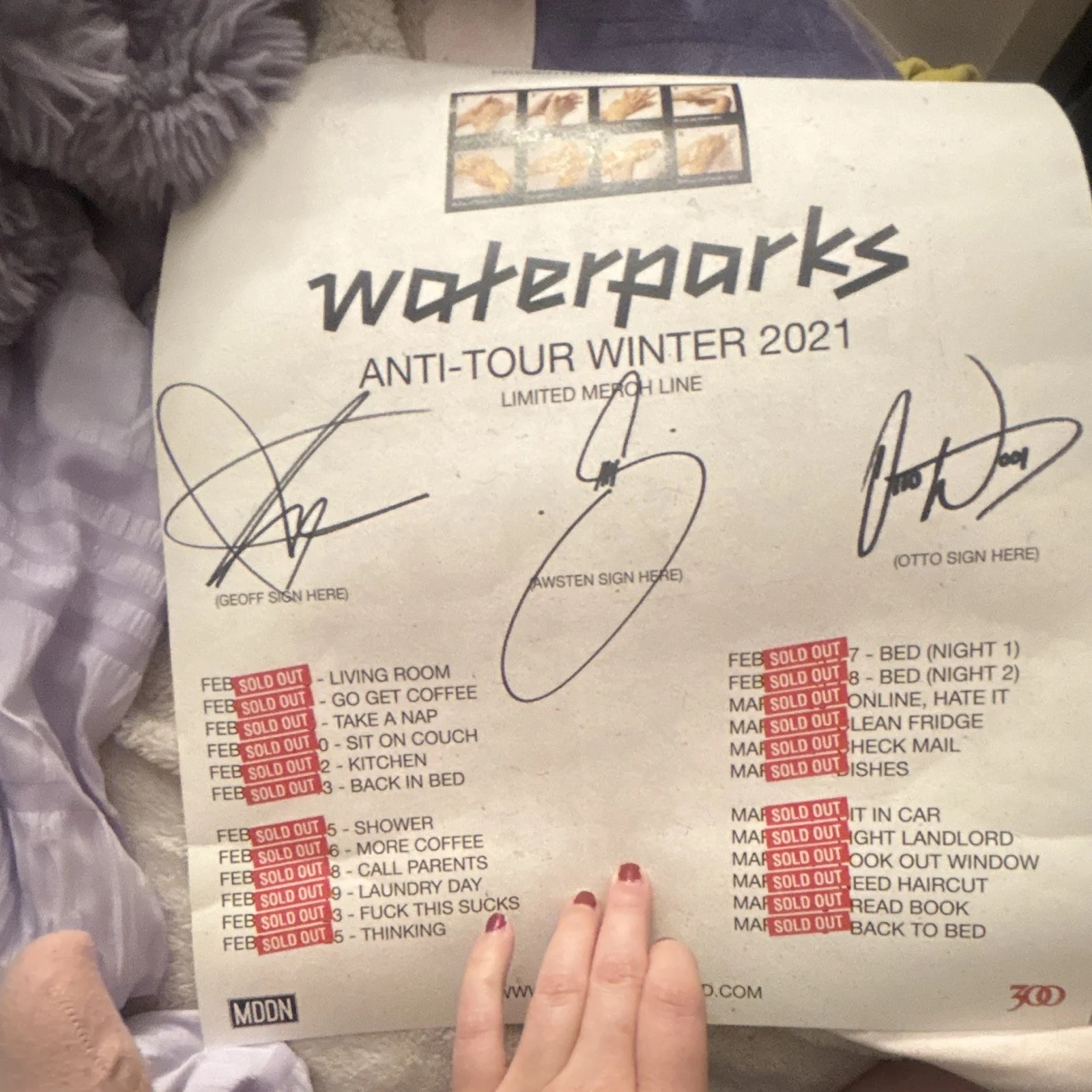 Waterparks Anti-Tour Winter 2021 Signed Original Poster 18 x 24 in, изображение 2