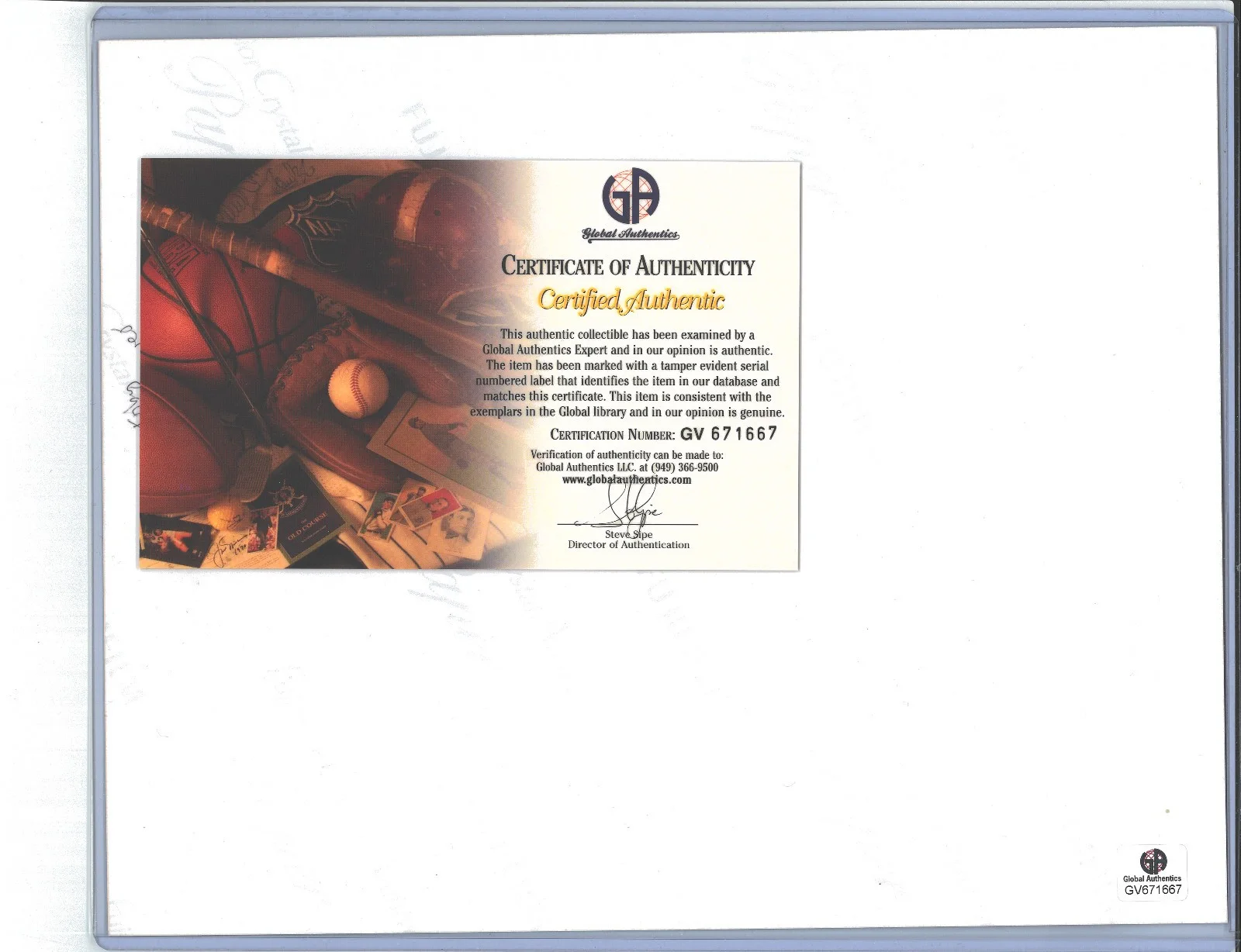 Toby Jones — Harry Potter Autograph DOBBY Toby Jones Signed GA COA 8x10 Free Elf HUNGER GAMES, image 2