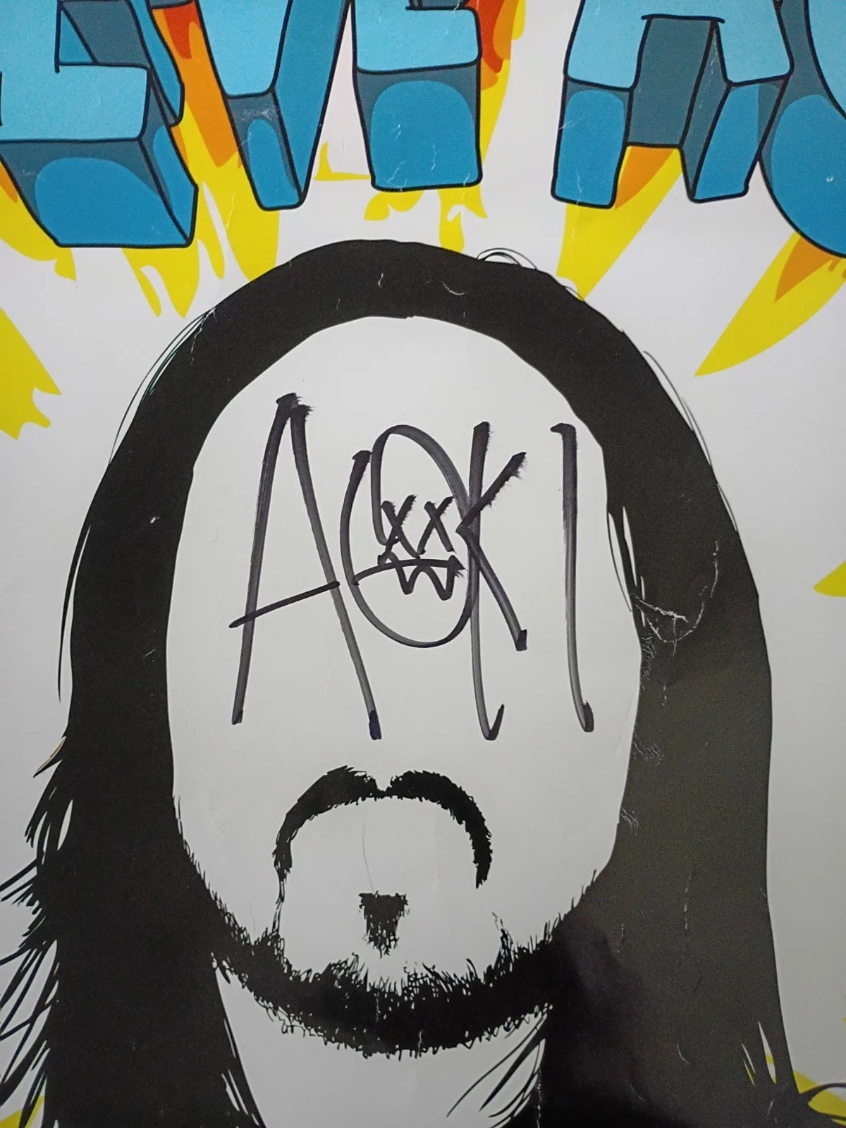Steve Aoki Wonderland Poster Dim Mak & Ultra Music Present autograph signed, image 3