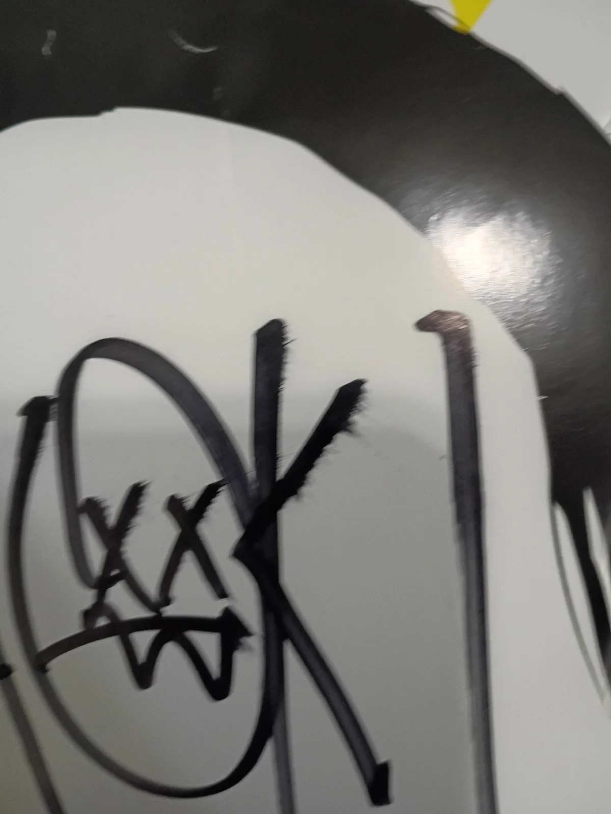 Steve Aoki Wonderland Poster Dim Mak & Ultra Music Present autograph signed, image 4