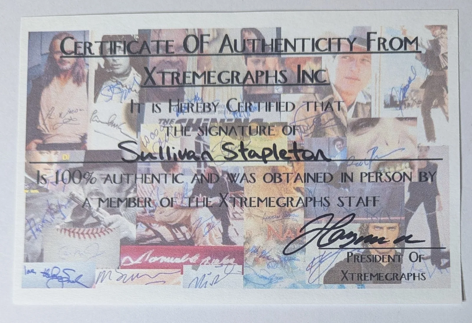 Sullivan Stapleton — Blindspot Signed Autographed 8"X 10" Photo Jaimie Alexander & Sullivan Stapleton, image 2