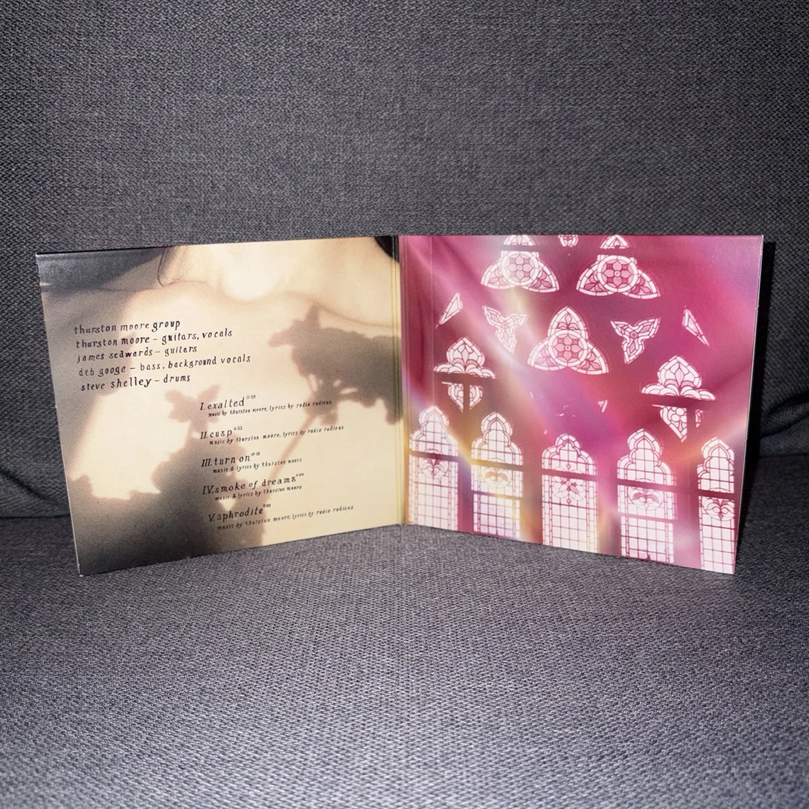 SIGNED Thurston Moore Case Rock N Roll Consciousness Sonic Youth - NO CD, image 4