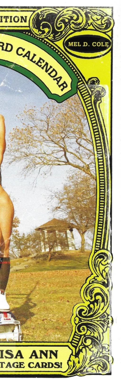 Lisa Ann — Lisa Ann Signed 2013 Trading Card Calendar BAS COA MILF Adult Film Legend Auto'd, изображение 4