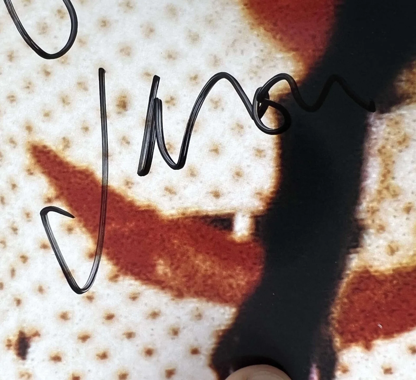 THE CURE -FULL BAND-SIGNED Wild Mood Swings LP With Roger Epperson COA - MINT, изображение 2